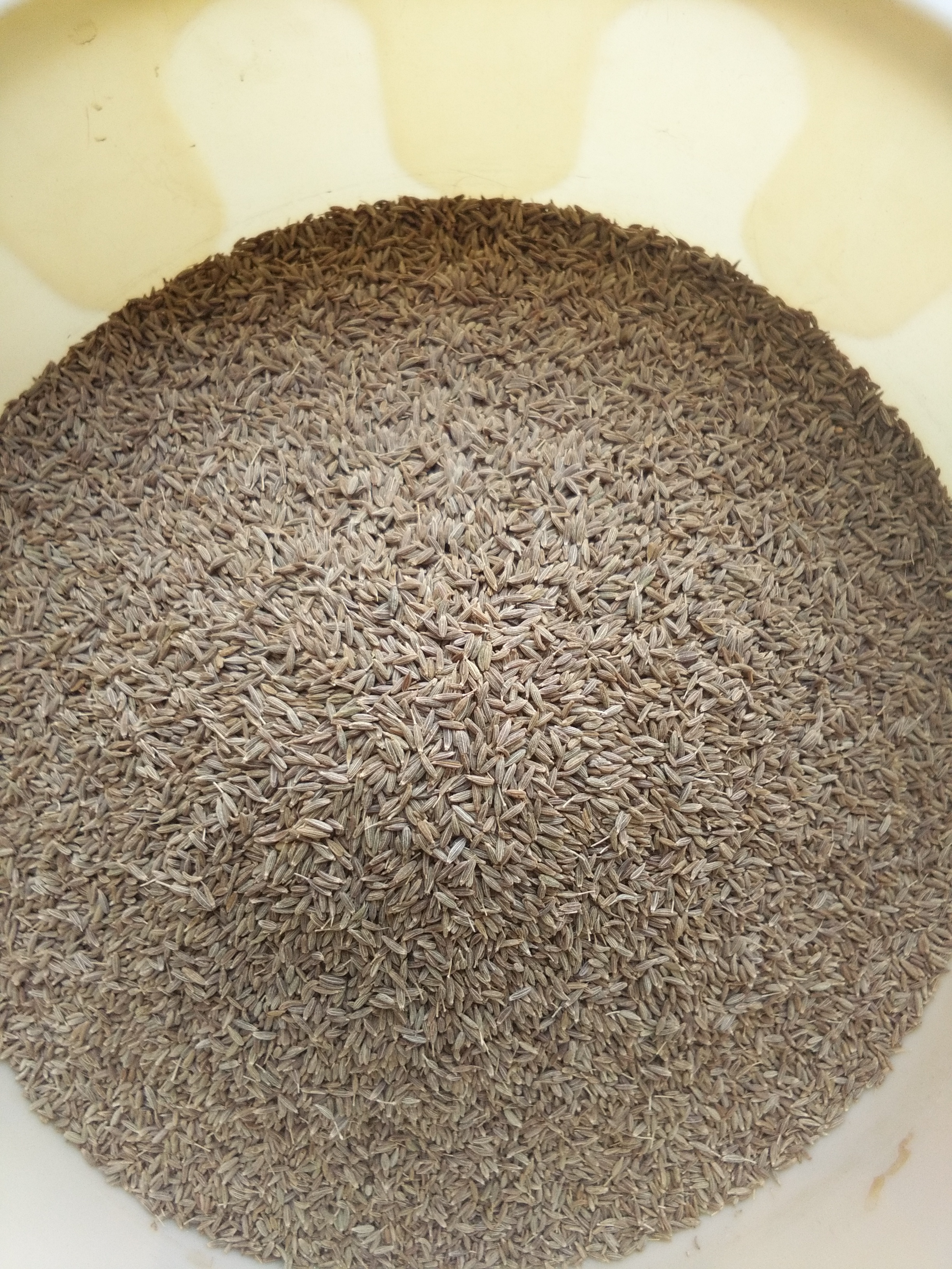 Jeera Seeds