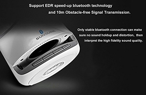 T1 Wireless Bluetooth Speaker