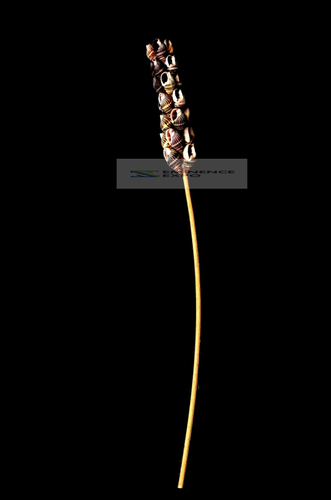 हाथ से बने सीप के सजावटी फूल