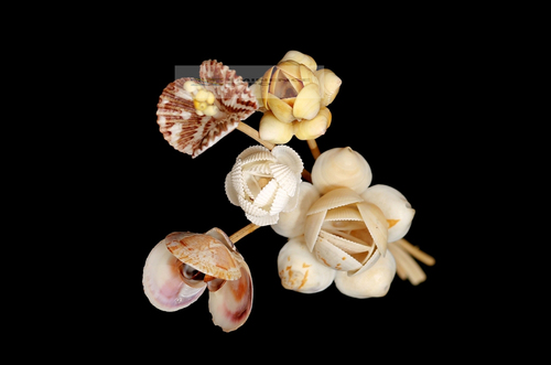 Handicraft Seashell Decorative Flowers