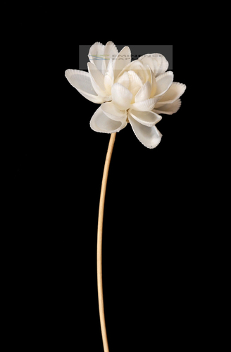 हस्तनिर्मित समुद्री शेल सजावटी फूल