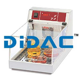 Mini Incubator