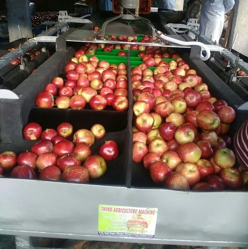 Fruit Grading Machine