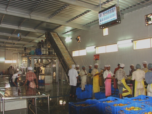 Mango Processing Plant 