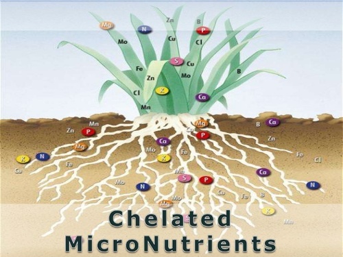 EDTA CHELATED MICRONUTRIENTS