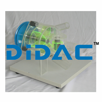 सैन्टाना 2000 वाटर पंप मॉडल