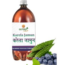 करेला जामुन जूस