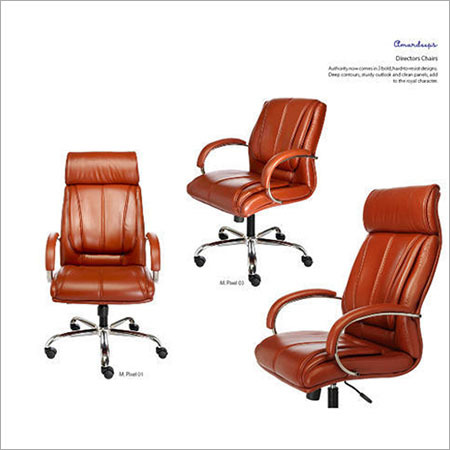 निर्देशक अध्यक्ष