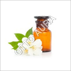 चमेली सांबक निरपेक्ष तेल