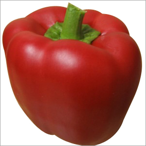 Red Chillies