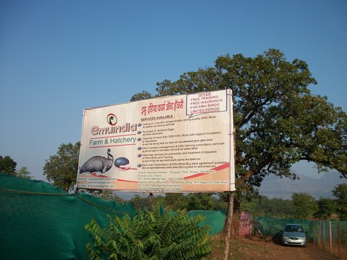 इमू व्यवसाय