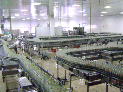 MS Multiple Conveyor