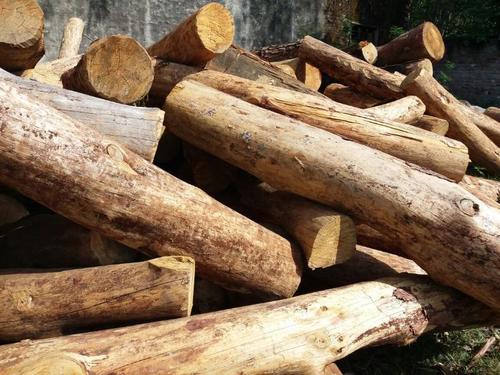 कच्चा ऊन लकड़ी