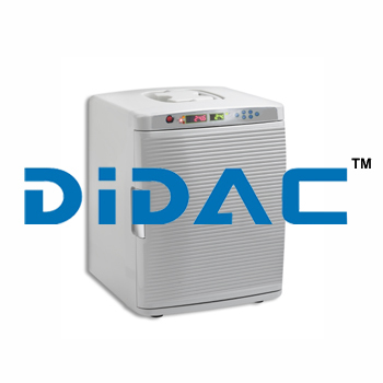 Mini CO2 Digital Incubator