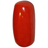 लाल मूंगा