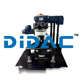 मल्टी फोटॉन माइक्रोस्कोपी