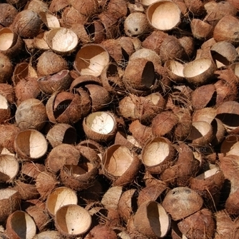 नारियल का छिलका