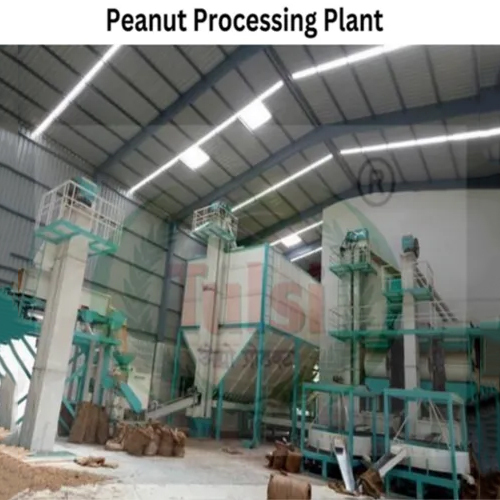 Peanut Processing Machine - Accuracy: 100 %