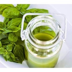 तुलसी का तेल