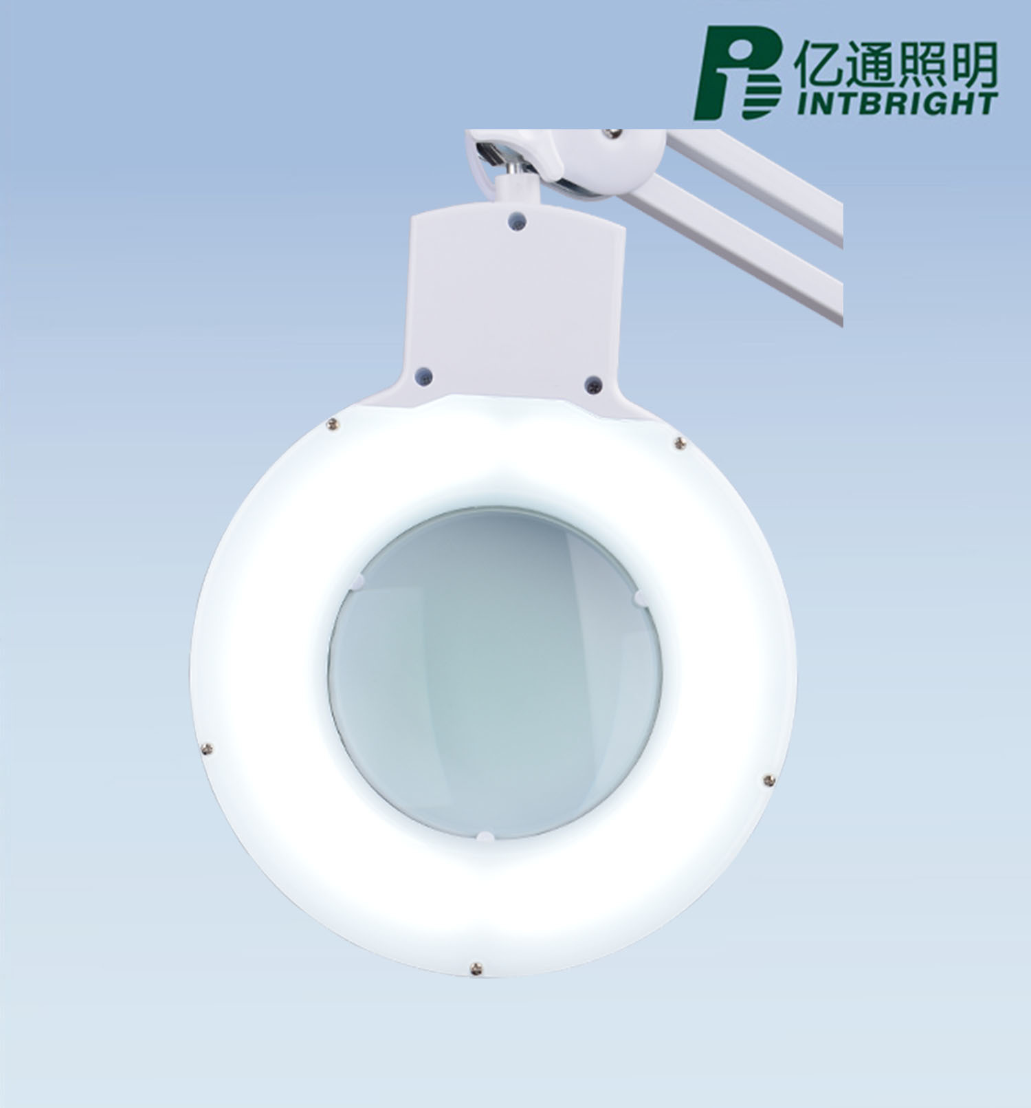 Magnifying Floor Lamp