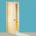 Hdf Whiter Primer Coated Moulded Doors