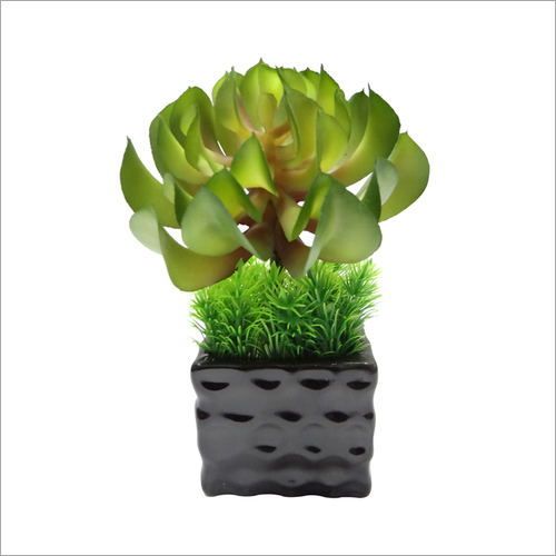 Artificial Bonsai Plant in Ceramic Vase - 25cm, Mystic Color | Durable, Eco-Friendly, Moisture Proof, Lightweight, Handmade