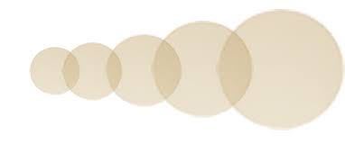 Mica Discs