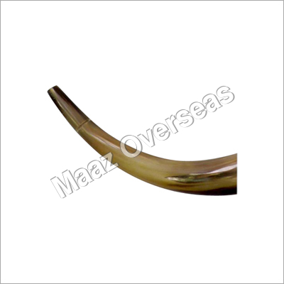 Blowing Horn