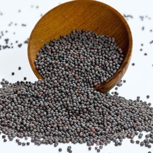 Black Mustard Seed Grade: Food Grade