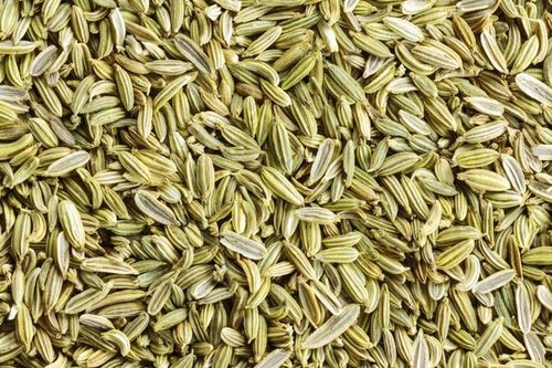 Green Fennel Seeds
