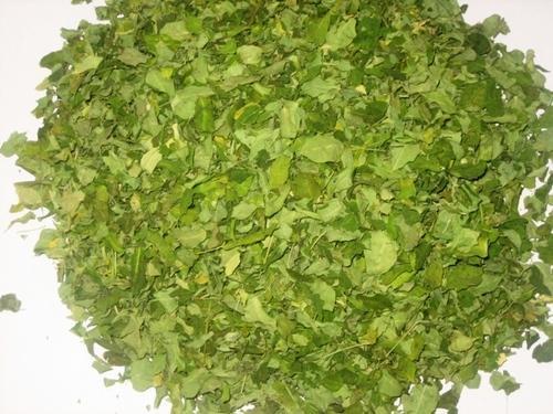 Moringa Leaf (Dry) Dry Place