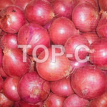लाल प्याज