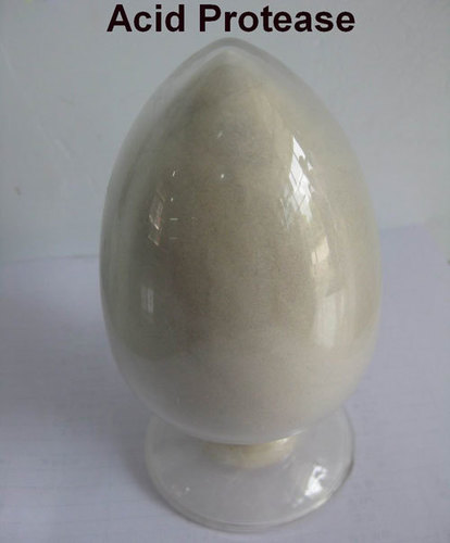 एसिड प्रोटीज