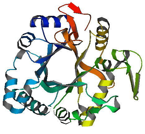 Beta Glucanase