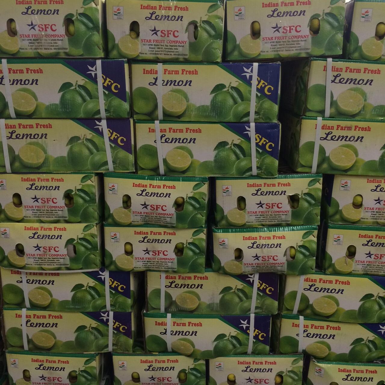 Fresh Lime