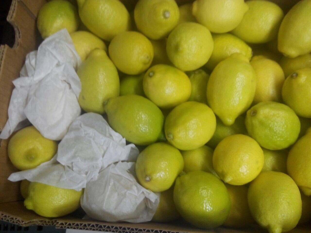 Fresh Lime