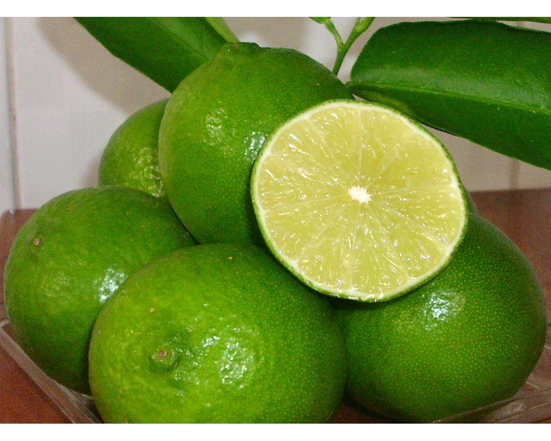 Fresh Lime