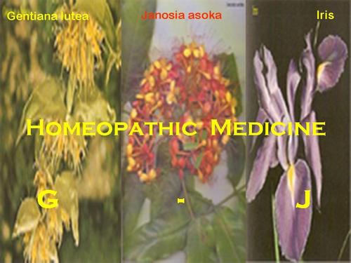 होम्योपैथिक औषधियाँ