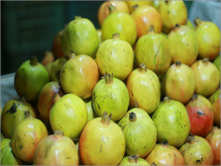 Fresh Pomegranate