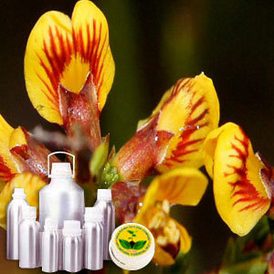 Boronia Absolute Oil