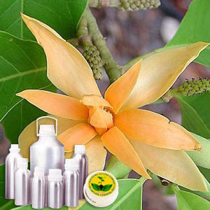 Champaka Red Absolute Oil