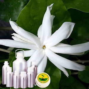Jasmine Grandiflorum Absolute Oil - Premium Essential Oil Extract | Rich Floral Aroma, Ideal for Aromatherapy and Skin Care
