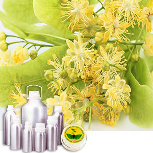 Linden Blossom Absolute Oil - CAS # 68916-81-4, Pale Yellow Clear Liquid | Solvent Extracted, Aromatherapy, Stress Relief, Sleep Aid