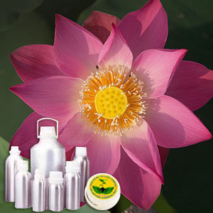 Pink Lotus Absolute Oil - Nelumbo nucifera, Yellow-Orange Liquid with Exotic Floral Aroma | Soluble in Alcohol & Oil, Ideal for Perfumery and Aromatherapy