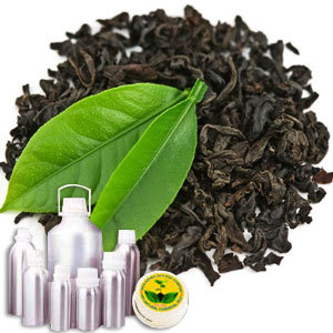 Tea Black Absolute Oil