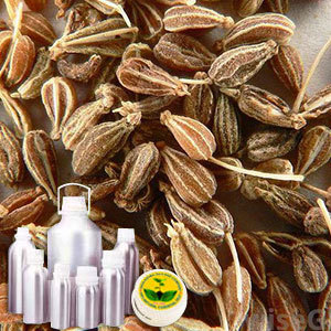 Aniseed Oil