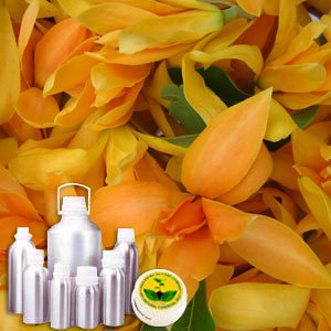 चंपा (मंगोलिया) जल