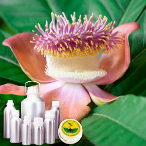 नाग चंपा जल