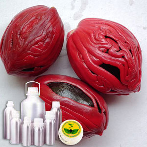 वाइल्डक्राफ्टेड जायफल एक्स्ट्रा ऑयल