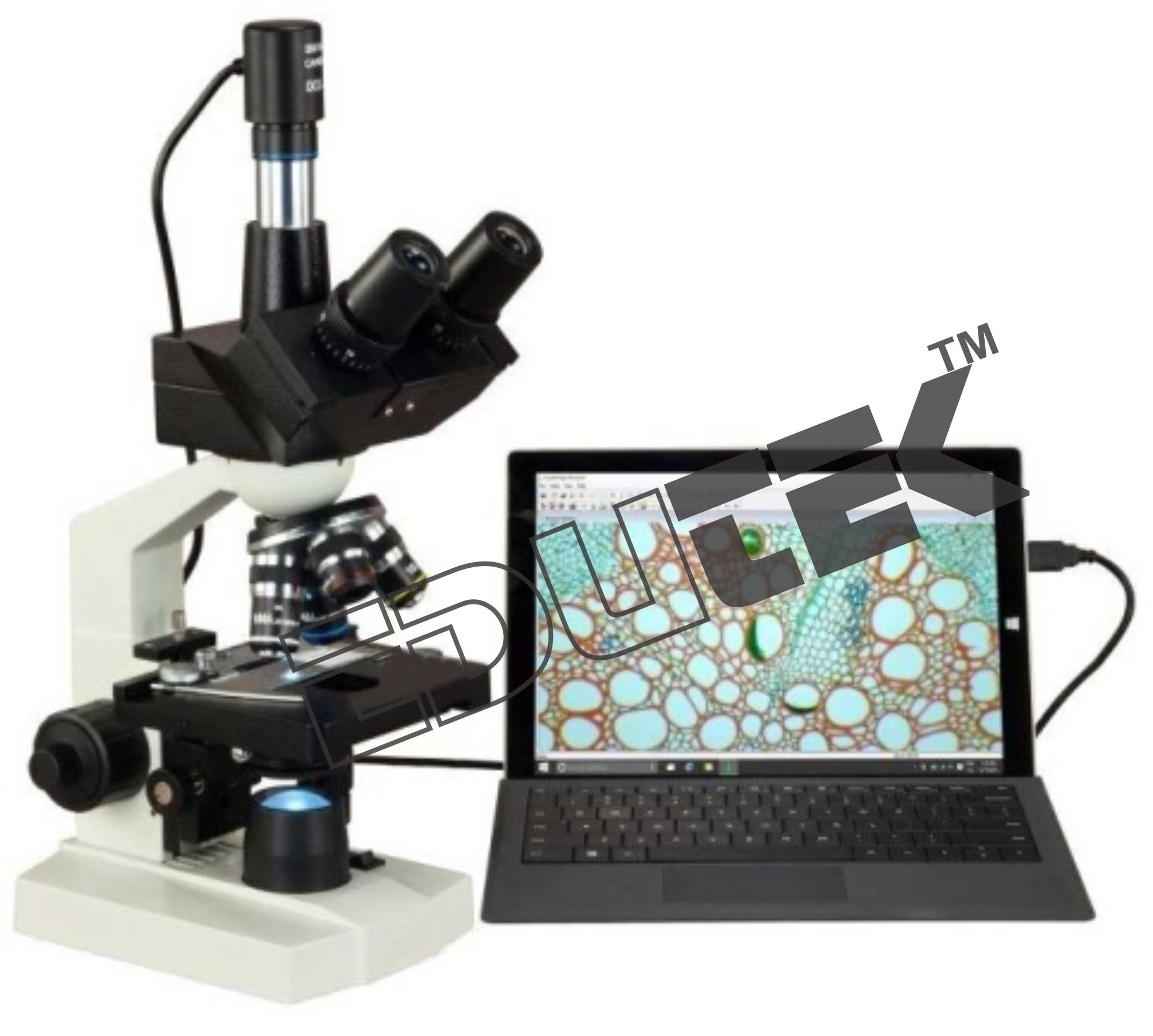 Stereo Microscope